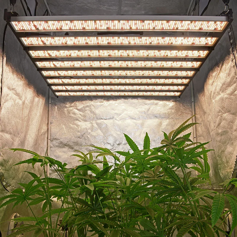 Professionelles DIY 1000W drahtloses LED Wachsen Licht für Gewächshaus Vertikale Farm-TG1000 
