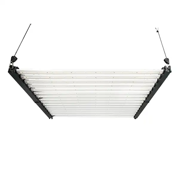 16 Bars 1000W Großhandel Full Spectrum LED Wachsen Licht für Industrie Wachstum 