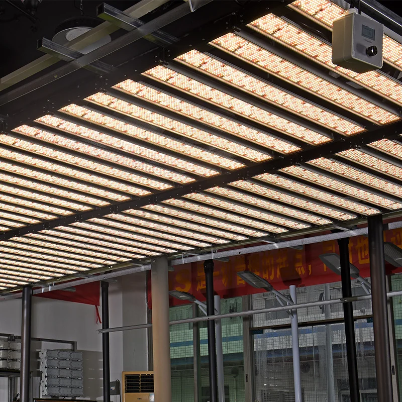 1.8 Meter lange 1000W LED wachsen Licht für TG1000 1.8M 