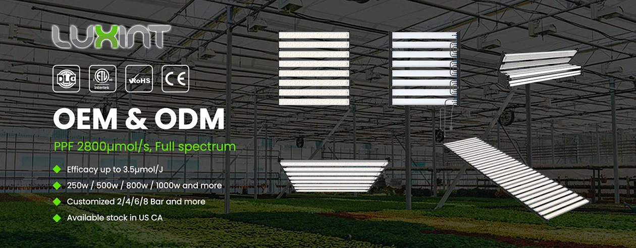 LUXINT LED Grow Lights Manufacturing 